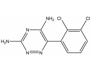Lamotrigine