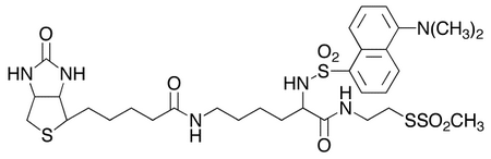 (N-Dansyl)biocytinamidoethyl Methanethiosulfonate