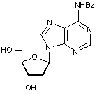 N6-Benzoyl-2-deoxyadenosine