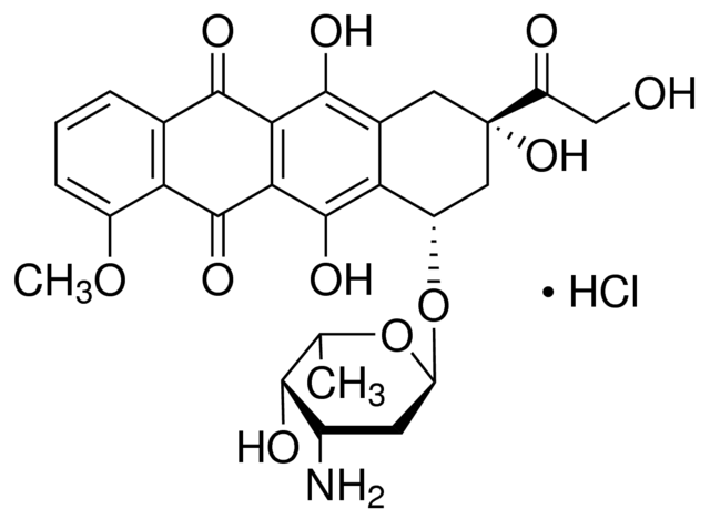 Doxorubicin HCl