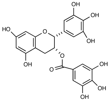 (-)-Epigallocatechin Gallate