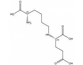 L-Saccharopine