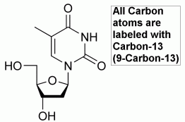 2-Deoxythymidine-13C9