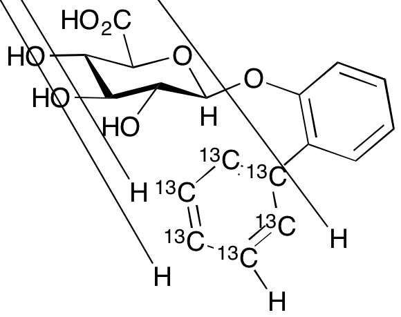 o-Phe6 GlucuronidC6 Glucuronide