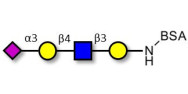 Sialylated tetraose type 2 grafted on BSA