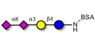 GD3 Ganglioside oligosaccharide / Disialyl lactose (DSL) grafted on BSA