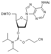 N6-Acetyl-2-deoxy-5-O-DMT-adenosine 3-CE phosphoramidite