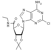 2-Chloro-5-N-ethylcarboxamide-2,3-O-isopropylidene adenosine