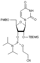 5-O-p-Anisoyl-2-O-tert-butyldimethylsilyluridine 3-CE phosphoramidite