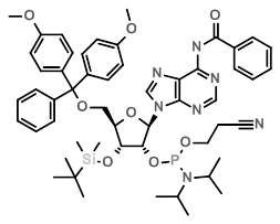 N6-Benzoyl-3-O-tert-butyldimethylsilyl-5-O-DMT-adenosine 2-CE phosphoramidite