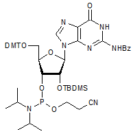 N2-Benzoyl-2-O-tert-butyldimethylsilyl-5-O-DMT-guanosine 3-CE phosphoramidite